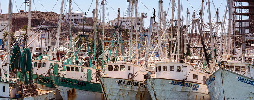 Home | Prestige Mexico | Rocky Point | Mexico