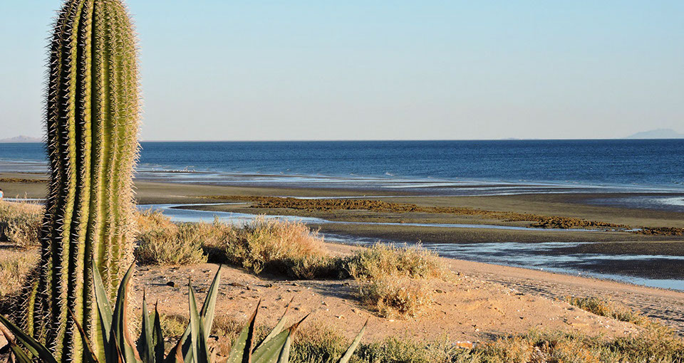 Home | Prestige Mexico | Rocky Point | Mexico